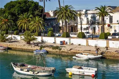a group of boats docked in a river with palm trees at GINVA - Apartamento en pleno centro 1 in El Puerto de Santa María