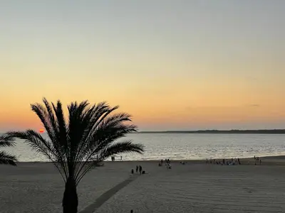 a palm tree on a beach at sunset at Apartamento en primera linea de playa in Sanlúcar de Barrameda