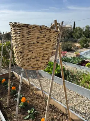 a basket on a stand in a garden at Casa Chica Boutique in Sanlúcar de Barrameda