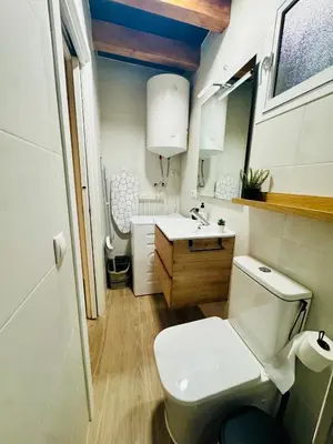a bathroom with a white toilet and a sink at Apartamento con Entreplanta Alegría de Jerez in Jerez de la Frontera