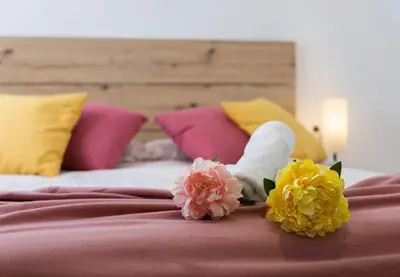 two flowers on a bed with colorful pillows at Allo Apartments Morenos VI in Jerez de la Frontera