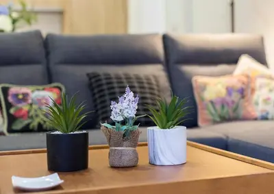 three vases on a coffee table in a living room at Allo Apartments Morenos VI in Jerez de la Frontera