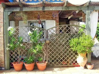 a group of potted plants in front of a fence at Mis Tres Centenarios in El Puerto de Santa María