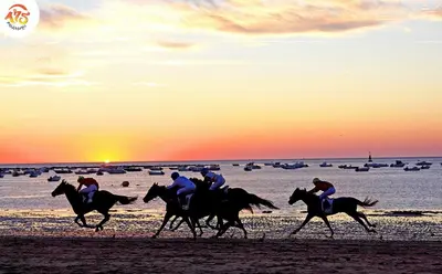 a group of people riding horses on the beach at Apartamento Eleven View Costa ballena MOON BLACK in Costa Ballena