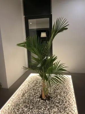 a palm tree in a room with a mirror at Esmeralda Sea Villa - Beach&Golf Sancti Petri in Novo Sancti Petri