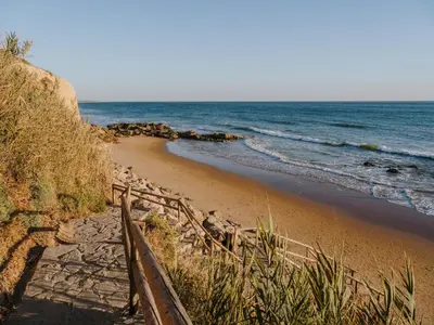 a sandy beach with a wooden fence next to the ocean at Grupotel Conil Playa - Adults Only Recommended in Conil de la Frontera