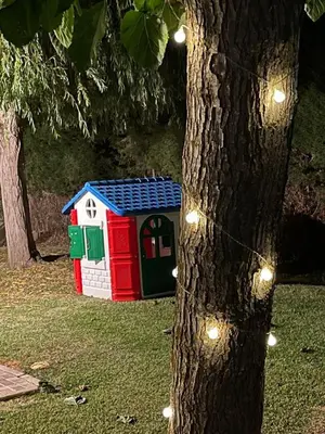 a toy dog house sitting next to a tree at Lazzy House in Hozanejos