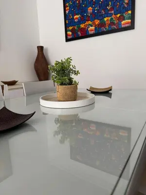 a potted plant sitting on a table in a room at Apartamento Los Pajaritos II in Jerez de la Frontera