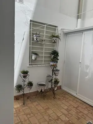 a room with potted plants on a wall at Apartamento Los Pajaritos II in Jerez de la Frontera