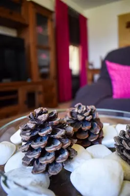 two pine cones on a tray on a table at Villa La Torre in Novo Sancti Petri