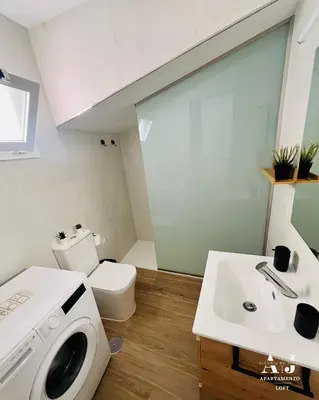 a bathroom with a sink and a washing machine at Loft Alegría de Jerez in Jerez de la Frontera