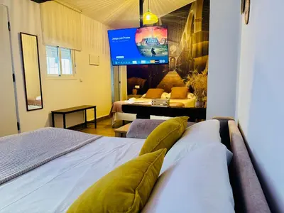 a bedroom with a bed with a large tv on the wall at Loft Alegría de Jerez in Jerez de la Frontera