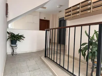 a staircase in a house with a potted plant at La Torre de los Claustros - Ole Solutions in Jerez de la Frontera