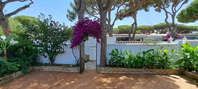 a garden with a white fence and purple flowers at Doña Violeta - La Barrosa in Novo Sancti Petri