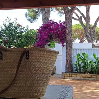 Doña Violeta - La Barrosa