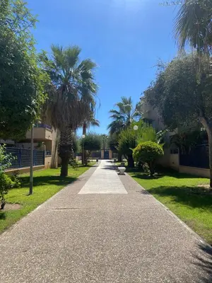 a walkway with palm trees in a park at Atardeceres en Bajoguía in Sanlúcar de Barrameda