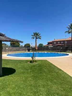 a swimming pool with a tree in the grass at Atardeceres en Bajoguía in Sanlúcar de Barrameda