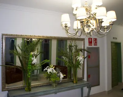 a mirror on a table with flowers on it at Hotel Barrio Nuevo in Lebrija