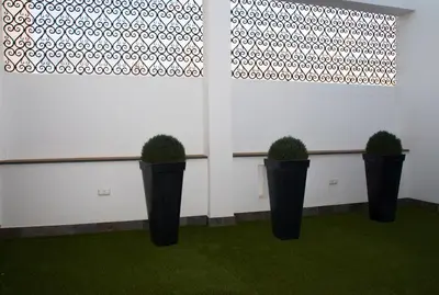 three potted plants in a room with a wall at Hotel Barrio Nuevo in Lebrija