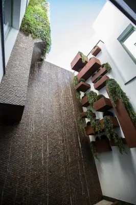 a garden on the side of a building with plants at Hotel Barrio Nuevo in Lebrija