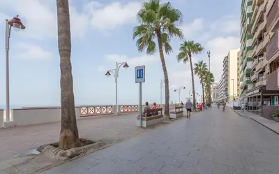 a sidewalk with palm trees on a beach with the ocean at Paseo Maritimo 3 Dormitorios in Cádiz
