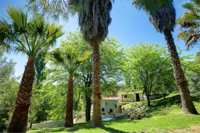 a group of palm trees in front of a house at El Molino del Pilón by Vintage Travel in Arcos de la Frontera