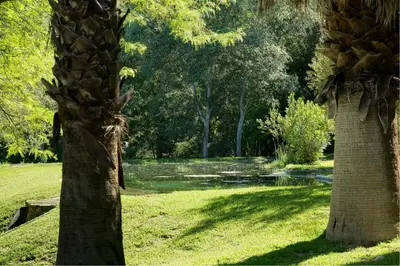 a park with two palm trees and a pond at El Molino del Pilón by Vintage Travel in Arcos de la Frontera