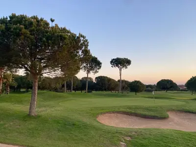 a tree on a golf course with a green at Cadiz Golf & Homework in Puerto Real