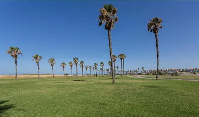 a group of palm trees in a field of grass at Holiday Homes - Ocean Costa Ballena in Cádiz