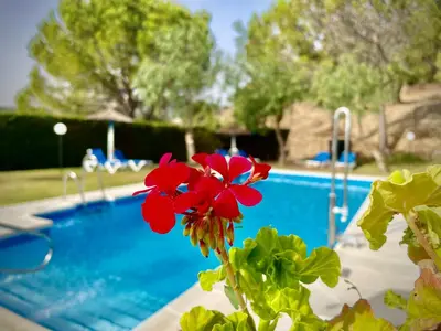 a red flower in front of a swimming pool at Hotel Tugasa Villa de Algar in Algar