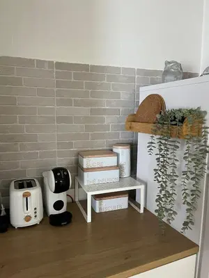 a kitchen counter with a shelf with plants on it at Apartamento en El Puerto de Santa María in El Puerto de Santa María
