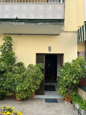 an entrance to a building with plants in front of it at Tu ático ideal Terraza, Centro y Playa a pie in Sanlúcar de Barrameda