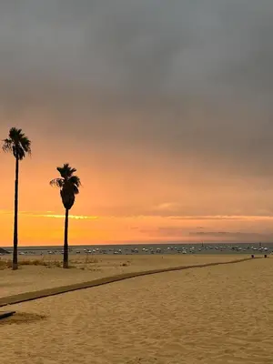 two palm trees on the beach at sunset at Tu ático ideal Terraza, Centro y Playa a pie in Sanlúcar de Barrameda