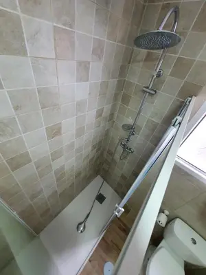 a bathroom with a shower with a toilet at Fabuloso Apartamento centrico San Miguel WIFI in Jerez de la Frontera
