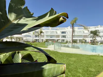 a large green plant in front of a building at Amenábar Ocean Suites by Staycare in Chipiona