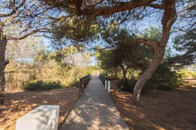 a wooden boardwalk in a park with a tree at Lujoso chalet con jardín privado a 300 metros de la playa in Conil de la Frontera