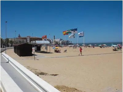 a group of people on a beach flying kites at Studio Sleeps 4 with Terrace in Chipiona
