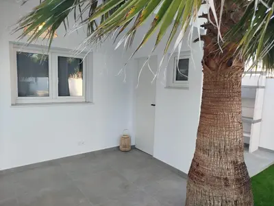 a palm tree in front of a white wall at Pacifico conil in Cádiz