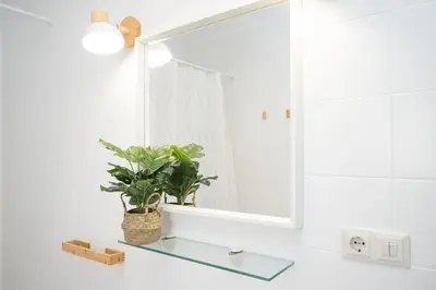 a bathroom sink with a mirror and a potted plant at Casa Salmedina in Sanlúcar de Barrameda