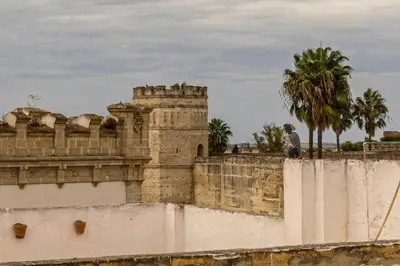 a bird sitting on top of a wall at Musart Entre Artes in Jerez de la Frontera
