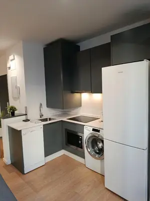 a kitchen with a refrigerator and a washing machine at Allo Apartments Santa María IV Centro Loft in Jerez de la Frontera