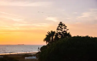 a palm tree on the beach at sunset at Hotel Novomar in Chiclana de la Frontera