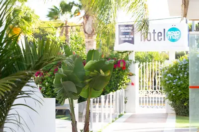 a plant in front of a white fence at Hotel Novomar in Chiclana de la Frontera