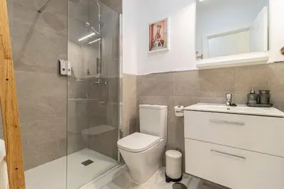 a bathroom with a shower and a toilet and a sink at Jerez Boutique by Sanz in Jerez de la Frontera