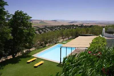 an overhead view of a swimming pool in a garden at Hacienda La Parrilla Alta in Arcos de la Frontera