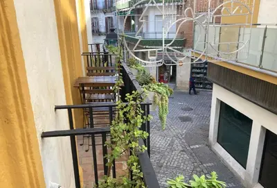 a balcony with plants growing on the railing of a building at Bombonera in Jerez de la Frontera