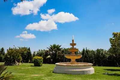 a fountain in the middle of a grass field at Casa Rural El Charruado in Sanlúcar de Barrameda