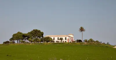 a house on top of a green field with a palm tree at Casa Rural El Charruado in Sanlúcar de Barrameda
