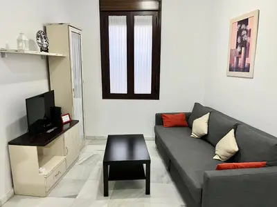 a living room with a couch and a tv at La Bodega Suite - Parking gratis in Jerez de la Frontera