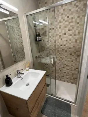 a bathroom with a sink and a shower at La Gañanía in Jerez de la Frontera